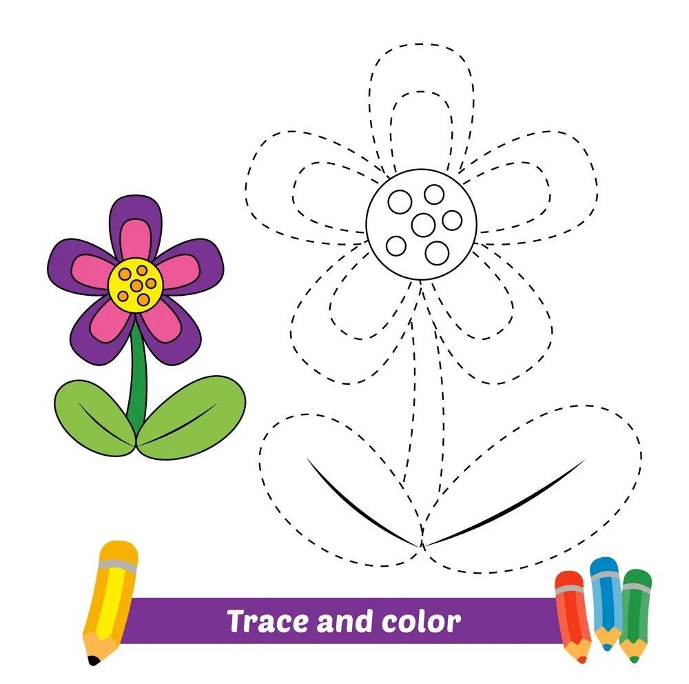 Çizgi Çalışmaları