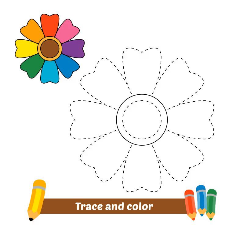 Çizgi Çalışmaları