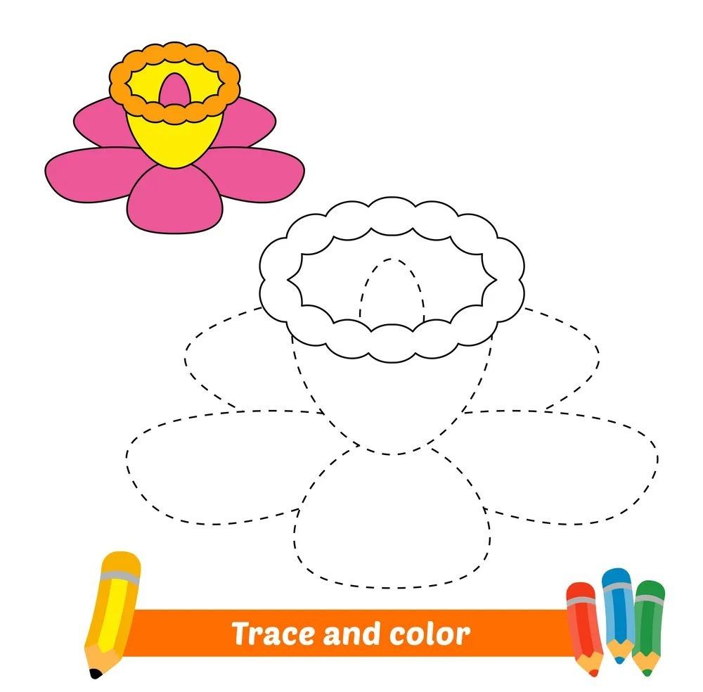 Çizgi Çalışmaları