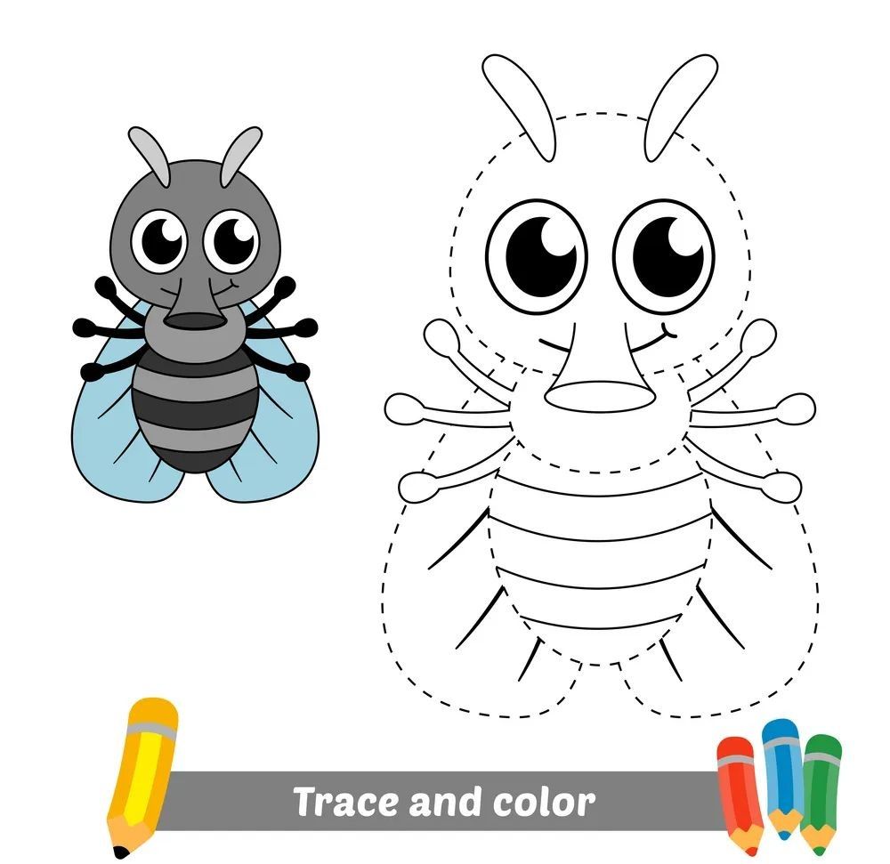 Çizgi Çalışmaları