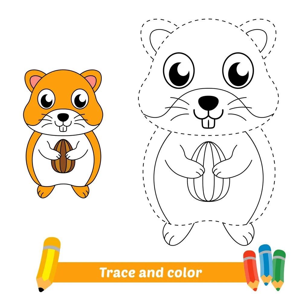 Çizgi Çalışmaları