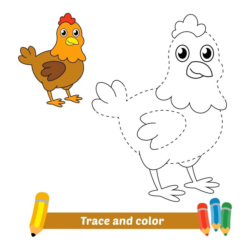 Çizgi Çalışmaları