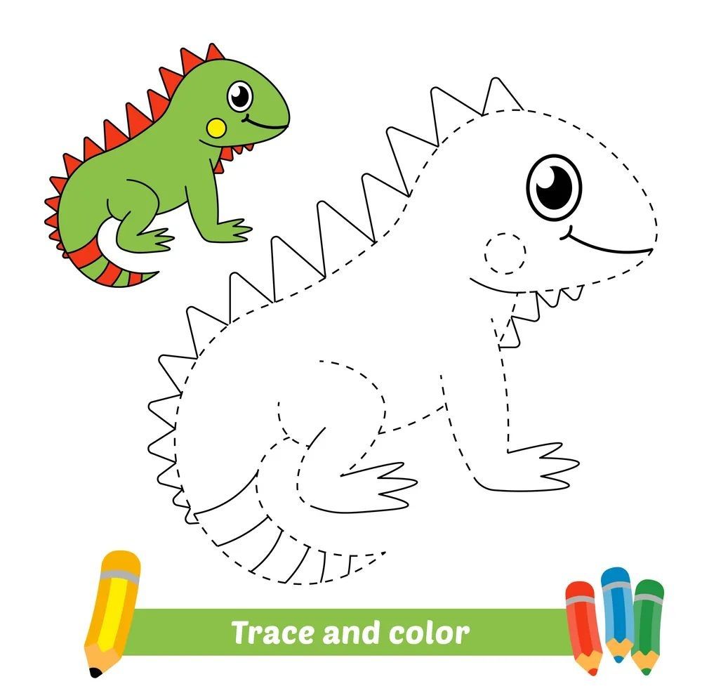 Çizgi Çalışmaları