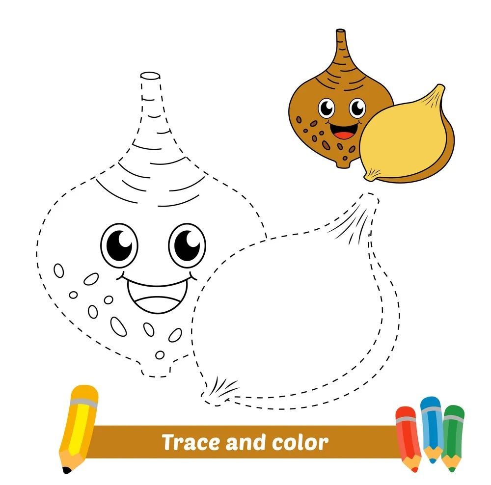 Çizgi Çalışmaları