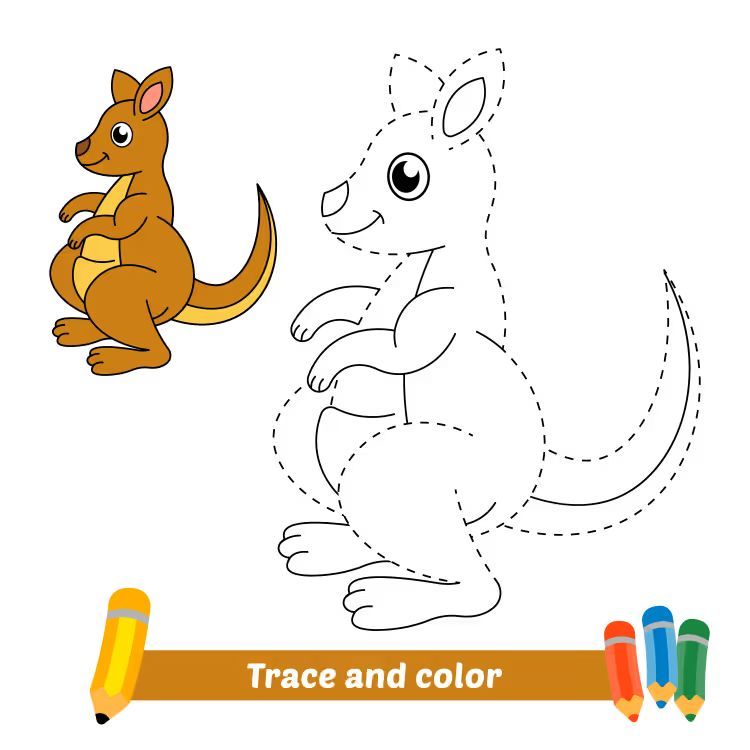 Çizgi Çalışmaları