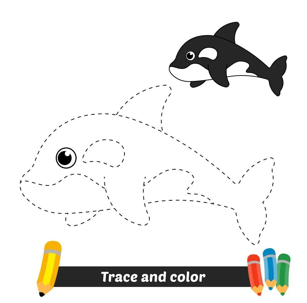 Çizgi Çalışmaları