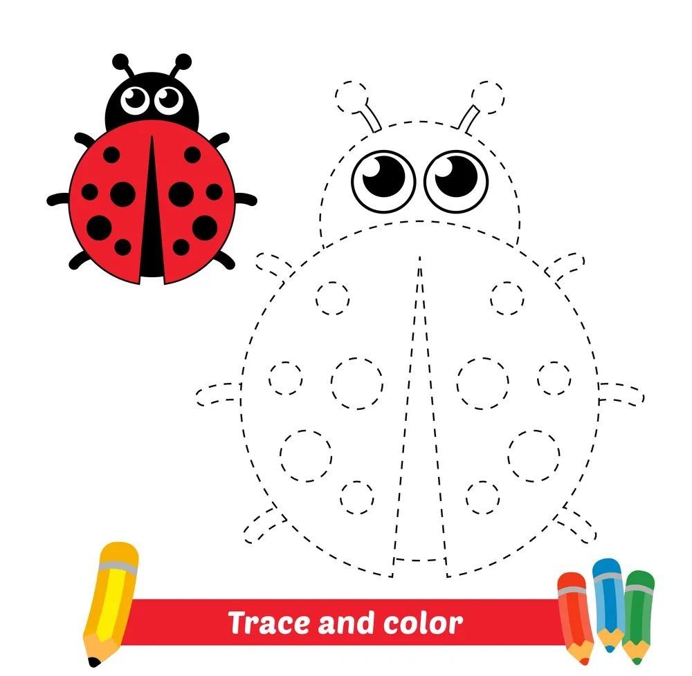 Çizgi Çalışmaları