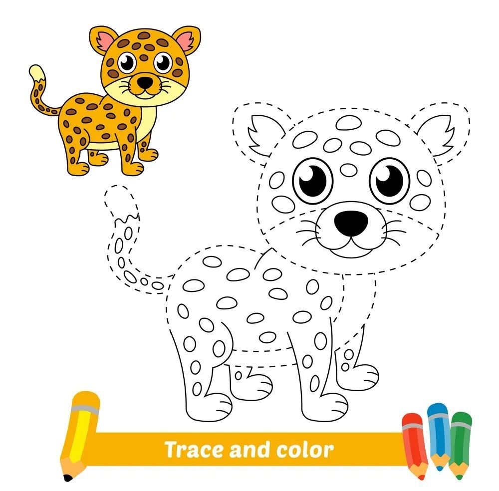 Çizgi Çalışmaları