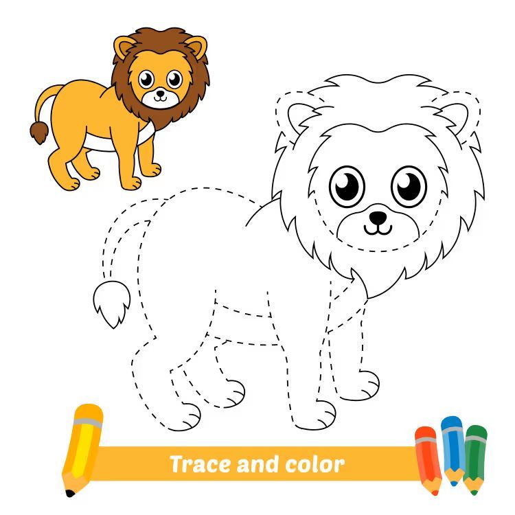 Çizgi Çalışmaları