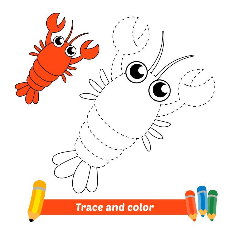 Çizgi Çalışmaları