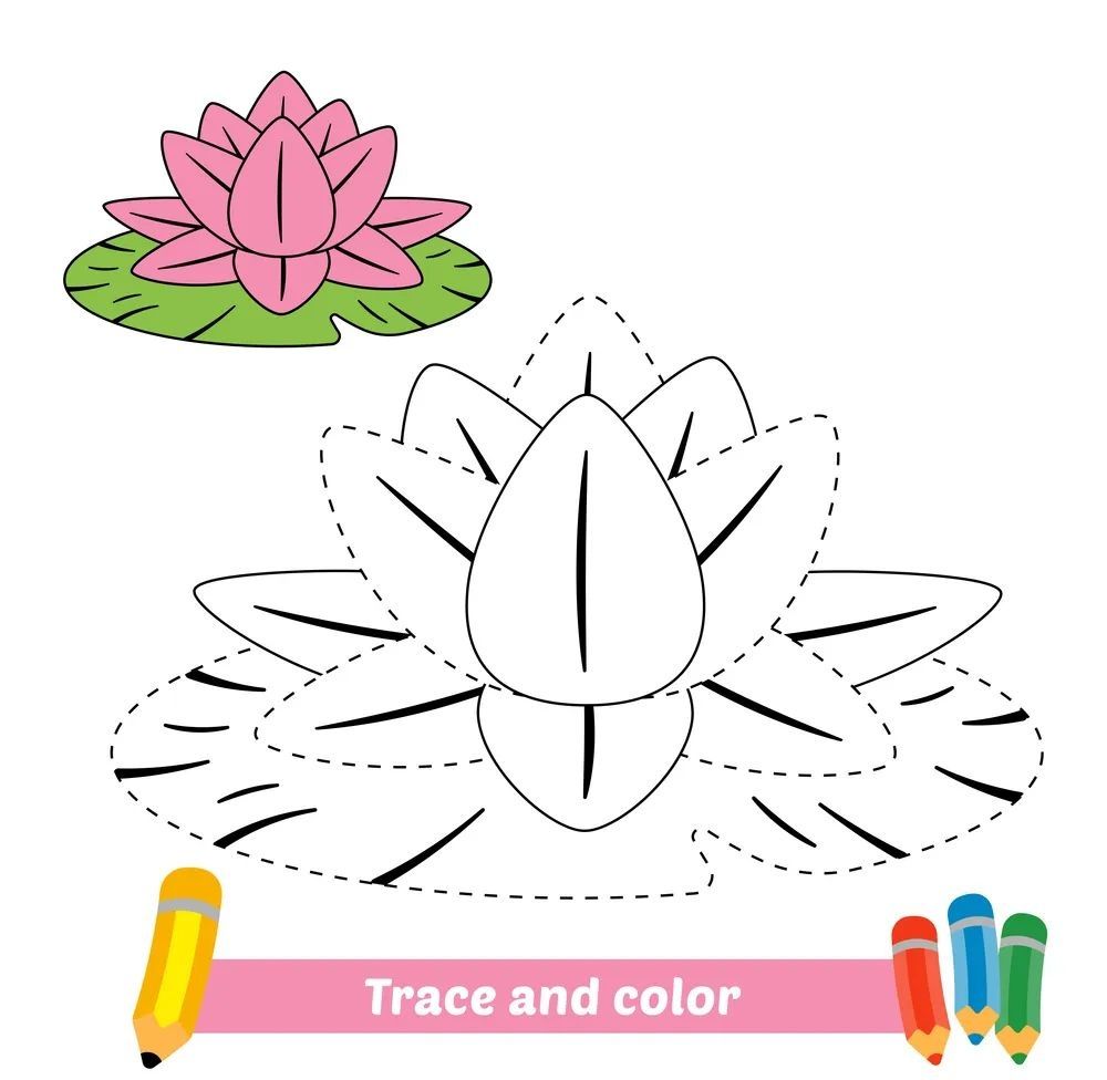 Çizgi Çalışmaları