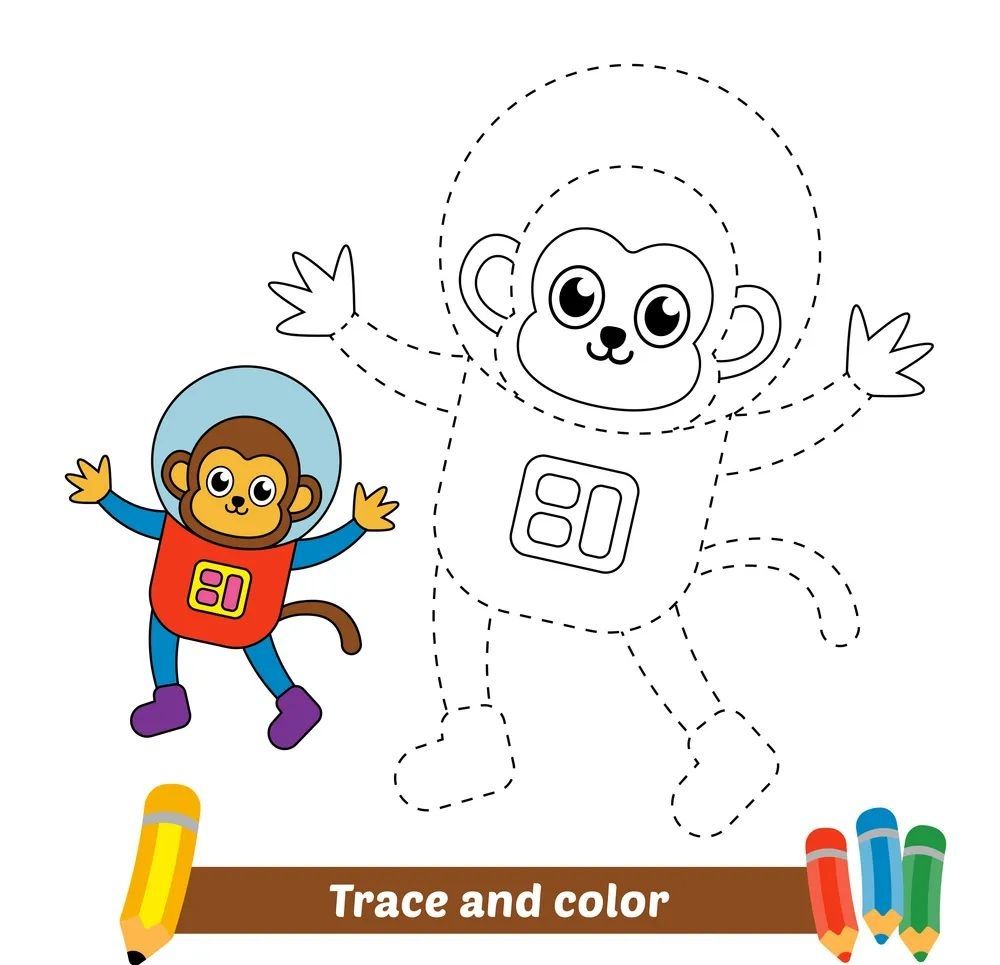 Çizgi Çalışmaları