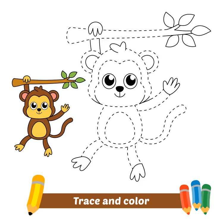 Çizgi Çalışmaları