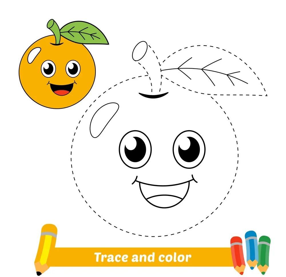 Çizgi Çalışmaları