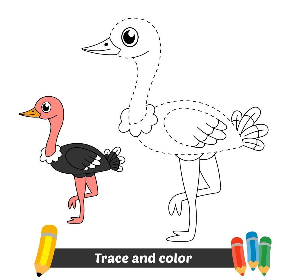 Çizgi Çalışmaları