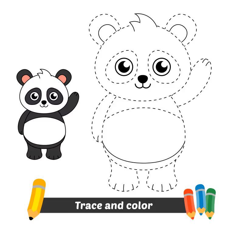 Çizgi Çalışmaları