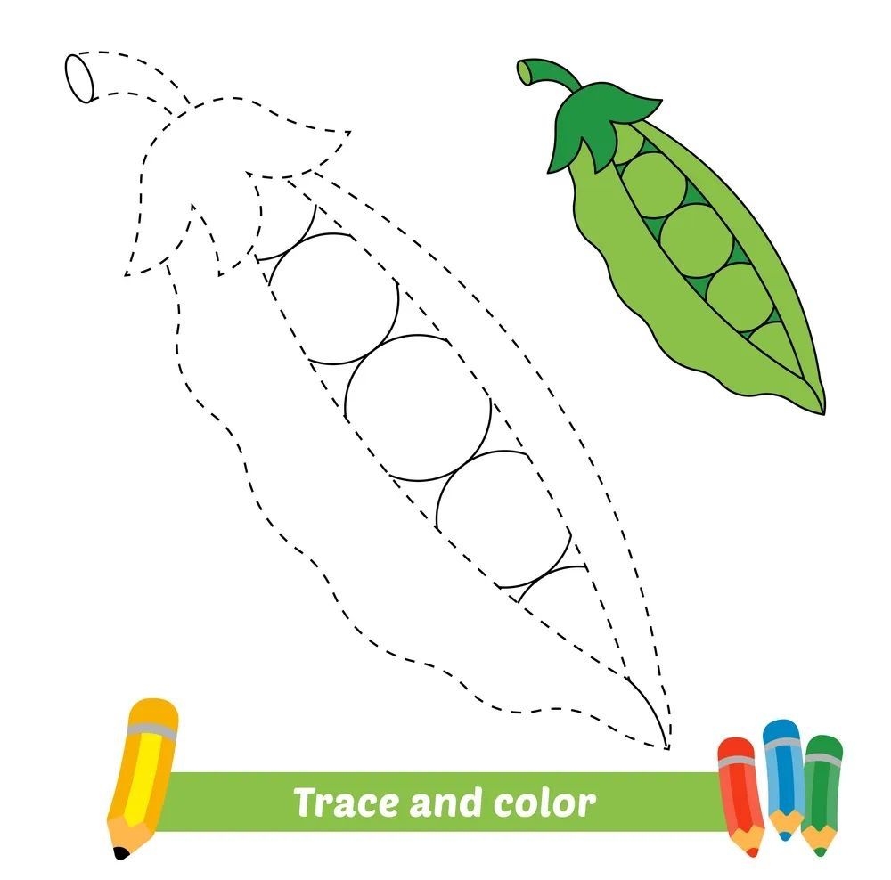 Çizgi Çalışmaları