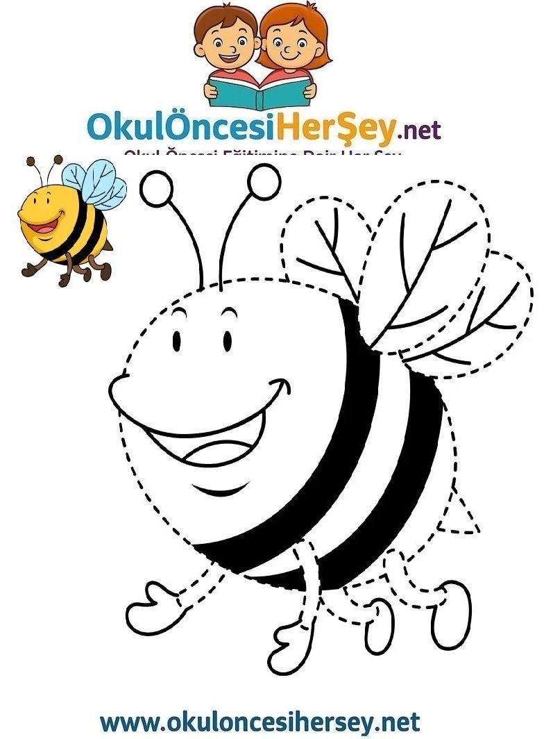 Çizgi Çalışmaları