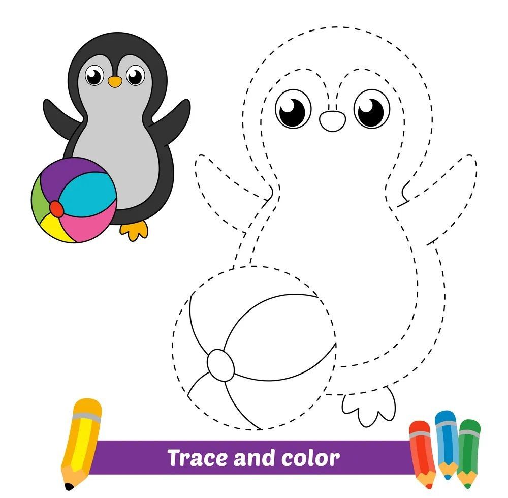 Çizgi Çalışmaları