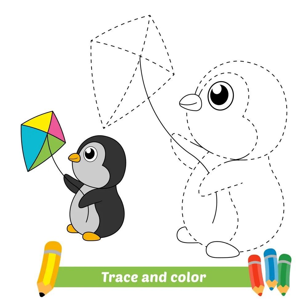 Çizgi Çalışmaları