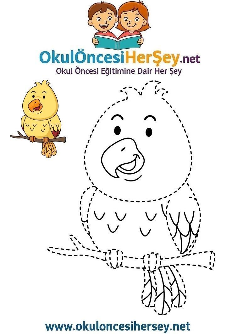 Çizgi Çalışmaları