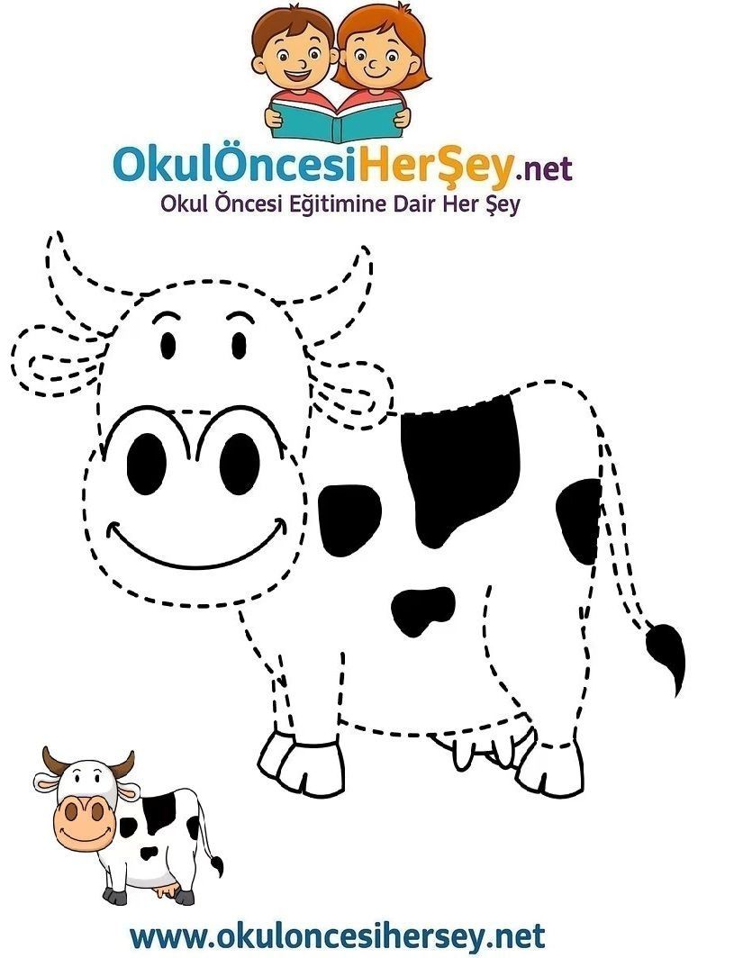 Çizgi Çalışmaları