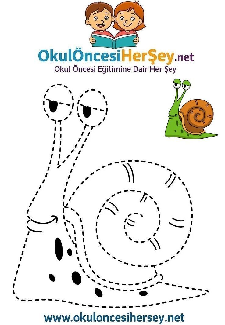 Çizgi Çalışmaları