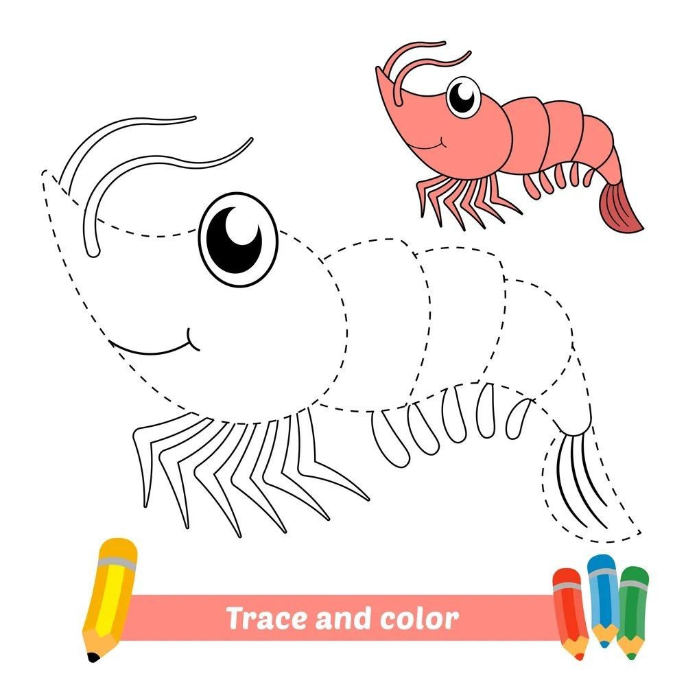 Çizgi Çalışmaları