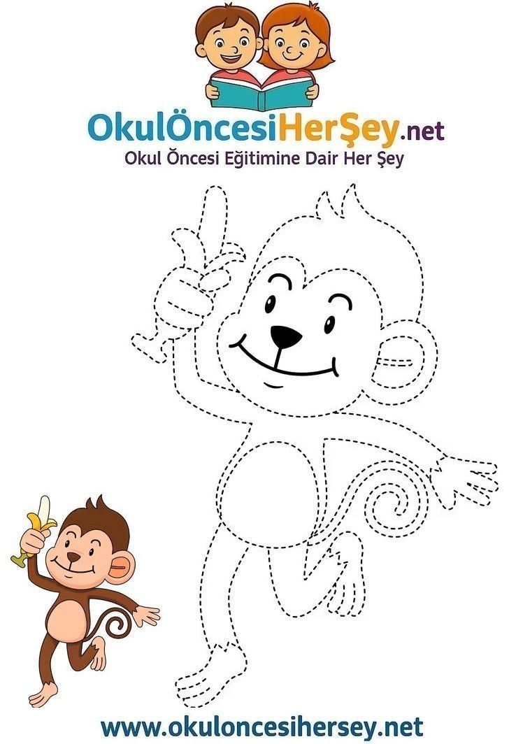 Çizgi Çalışmaları