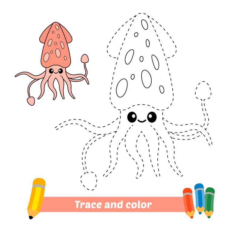 Çizgi Çalışmaları