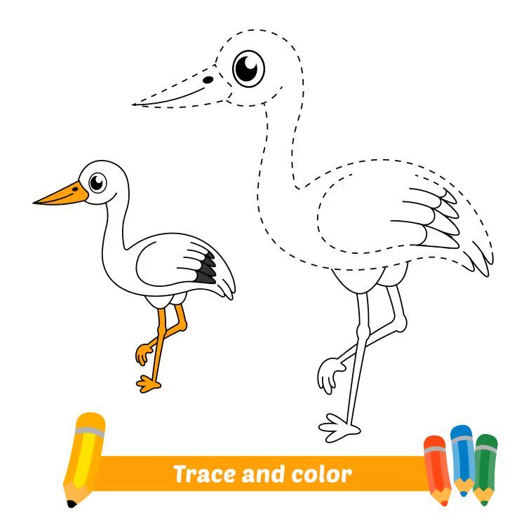 Çizgi Çalışmaları