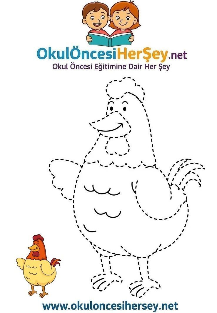 Çizgi Çalışmaları