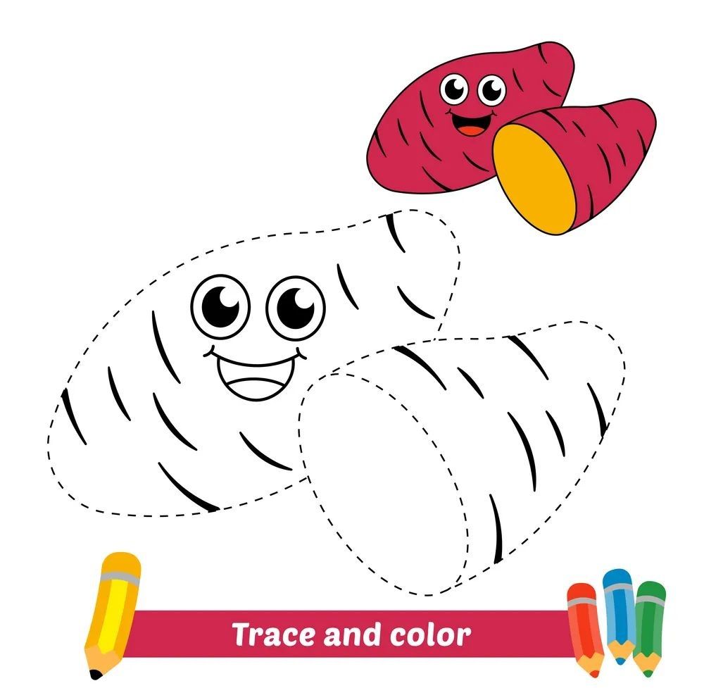 Çizgi Çalışmaları