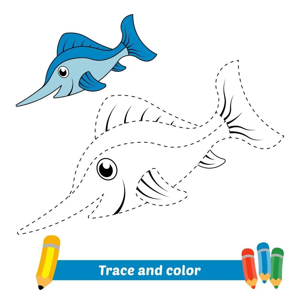 Çizgi Çalışmaları