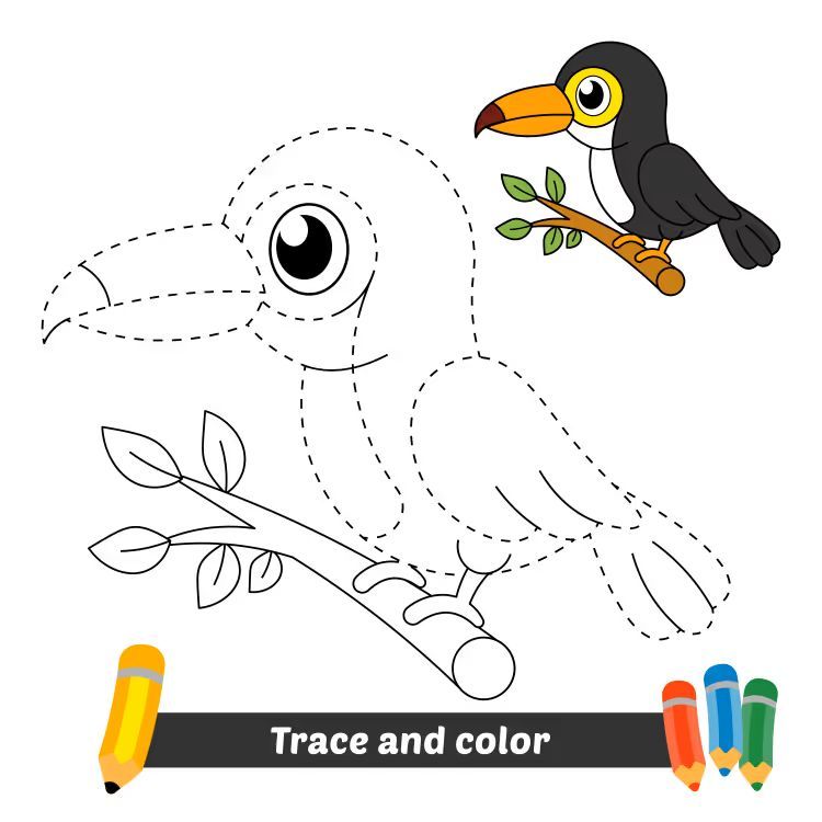 Çizgi Çalışmaları