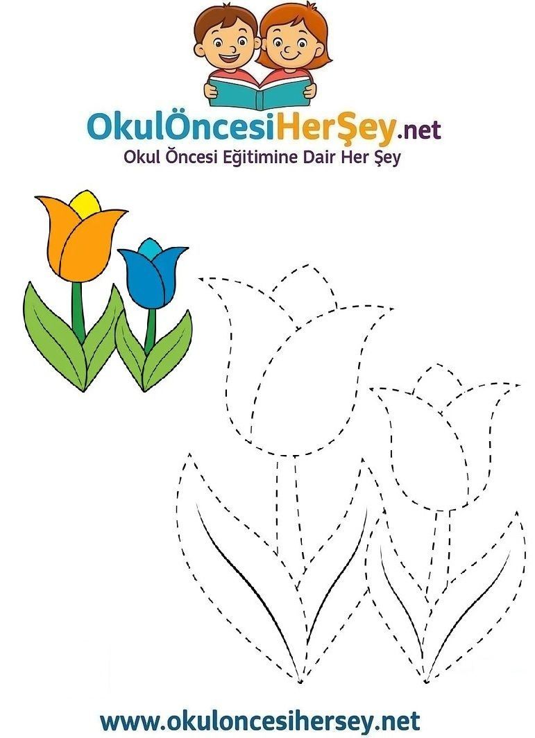 Çizgi Çalışmaları