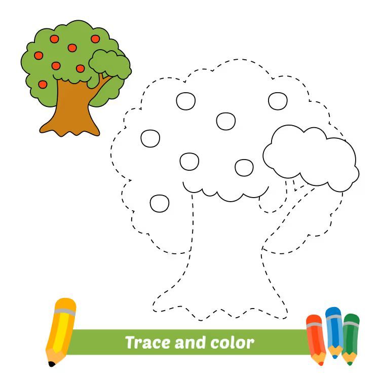 Çizgi Çalışmaları