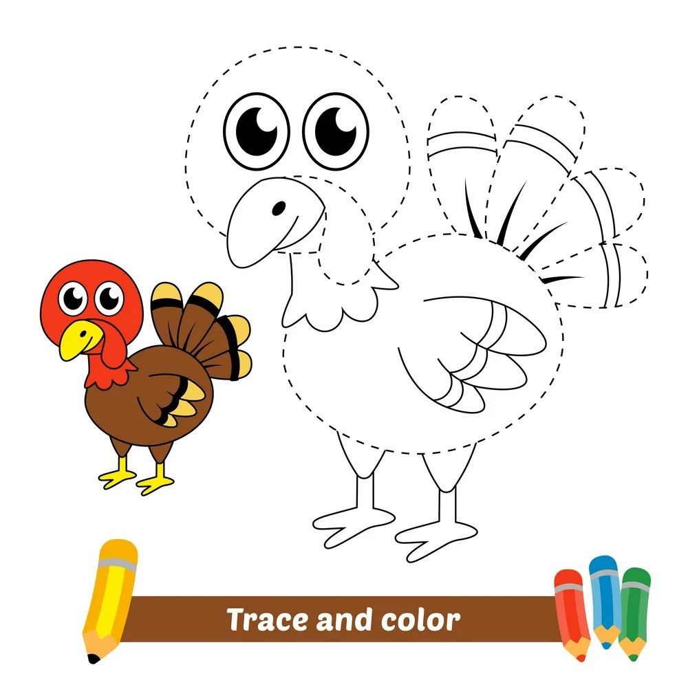 Çizgi Çalışmaları