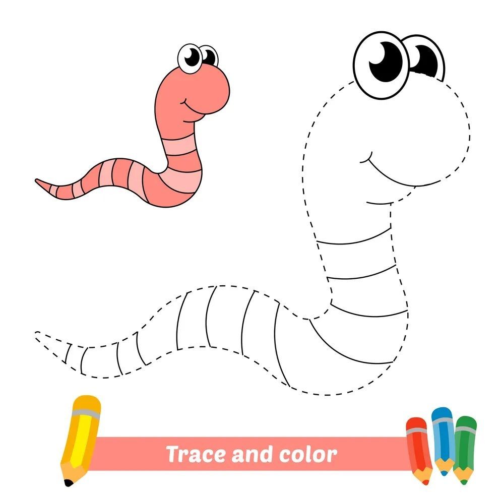 Çizgi Çalışmaları