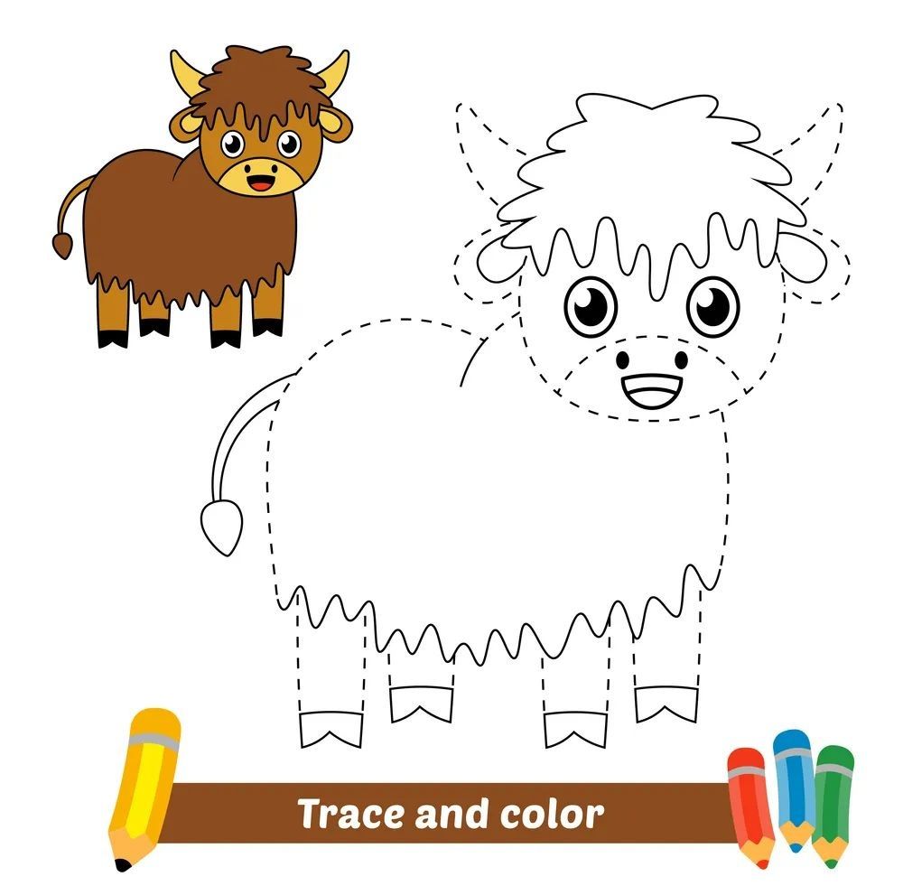 Çizgi Çalışmaları