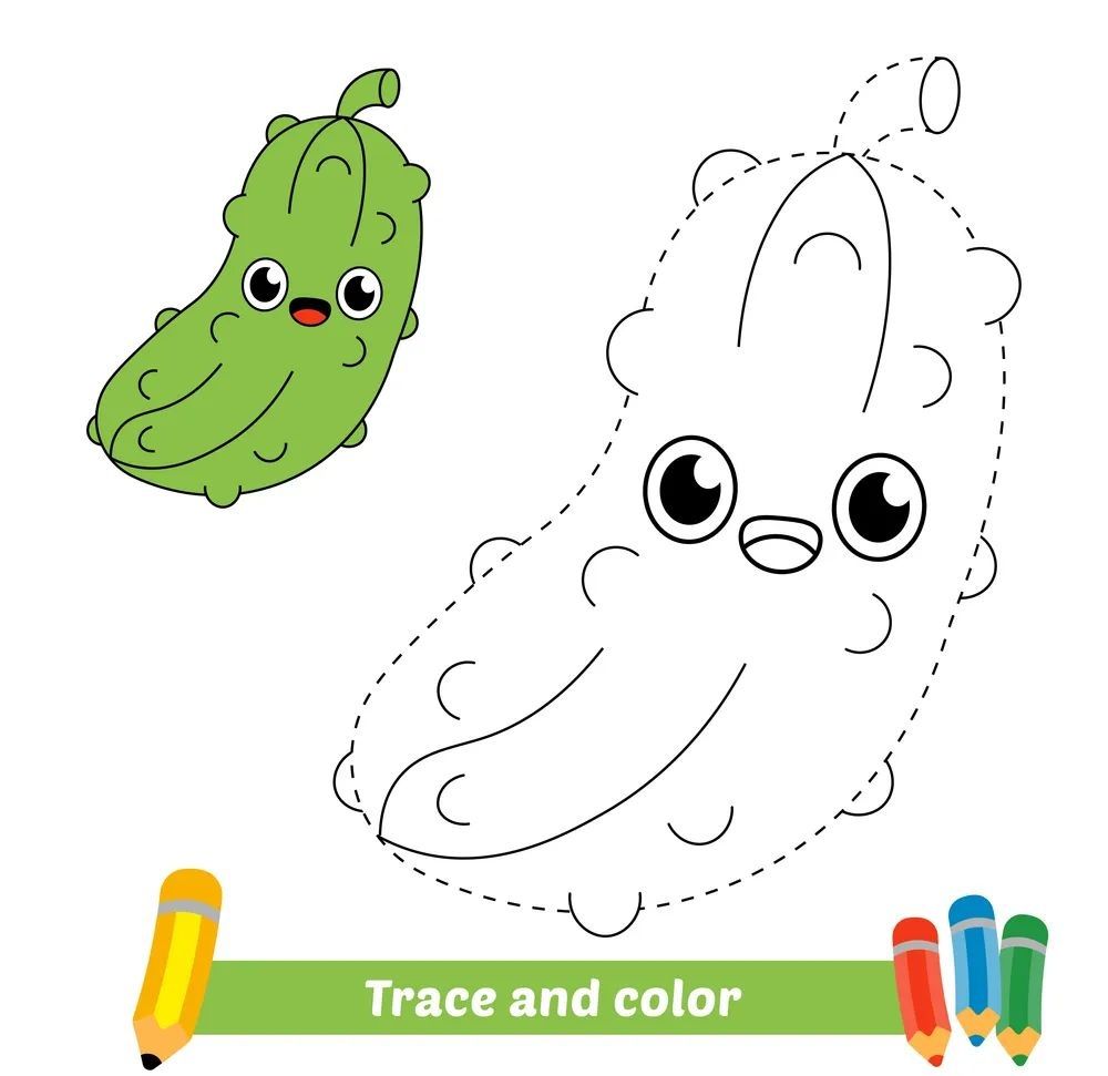 Çizgi Çalışmaları