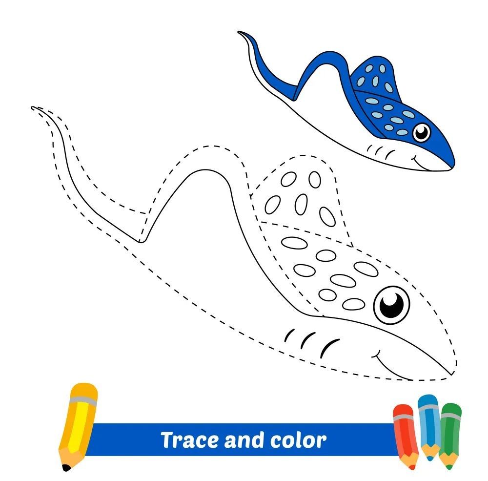 Çizgi Çalışmaları