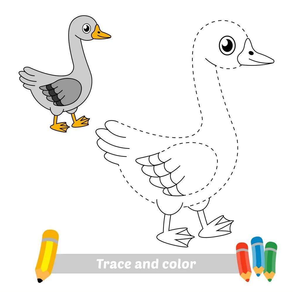 Çizgi Çalışmaları