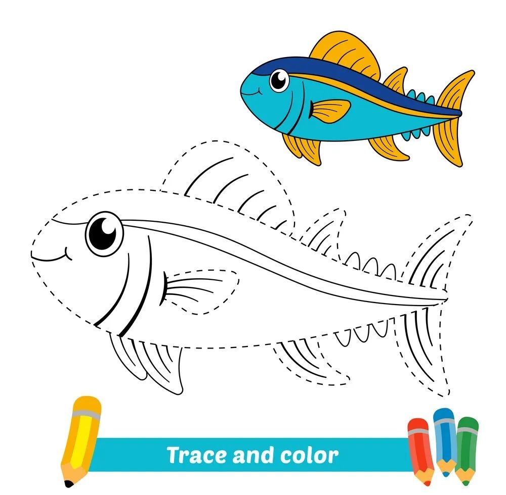 Çizgi Çalışmaları