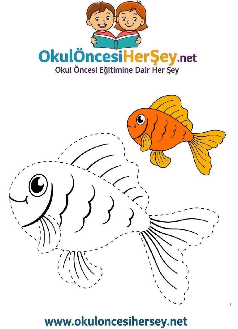 Çizgi Çalışmaları