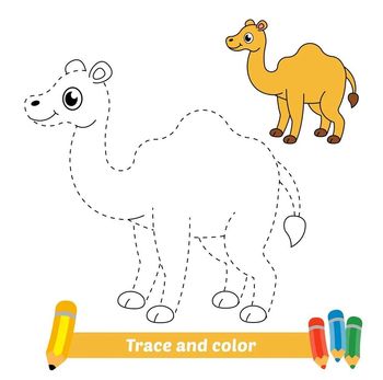 Çizgi Çalışmaları