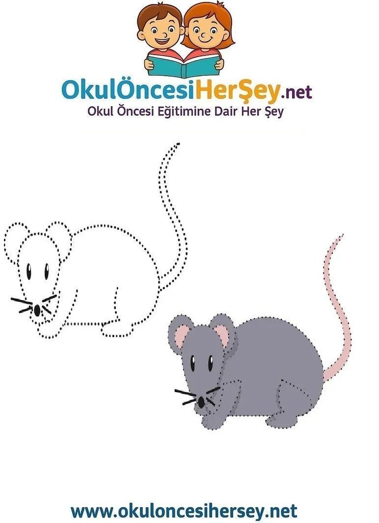 Çizgi Çalışmaları