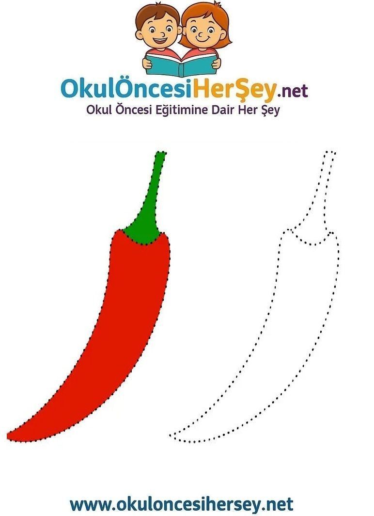 Çizgi Çalışmaları