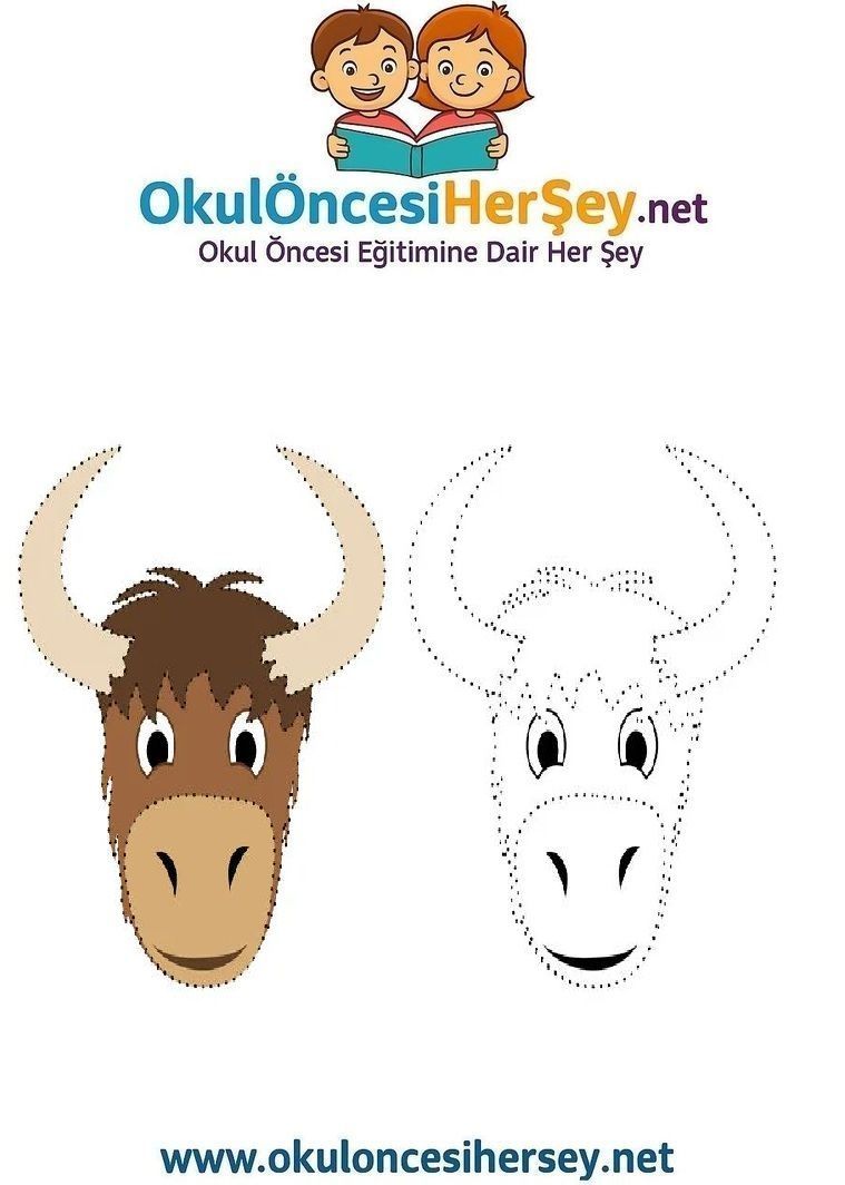 Çizgi Çalışmaları