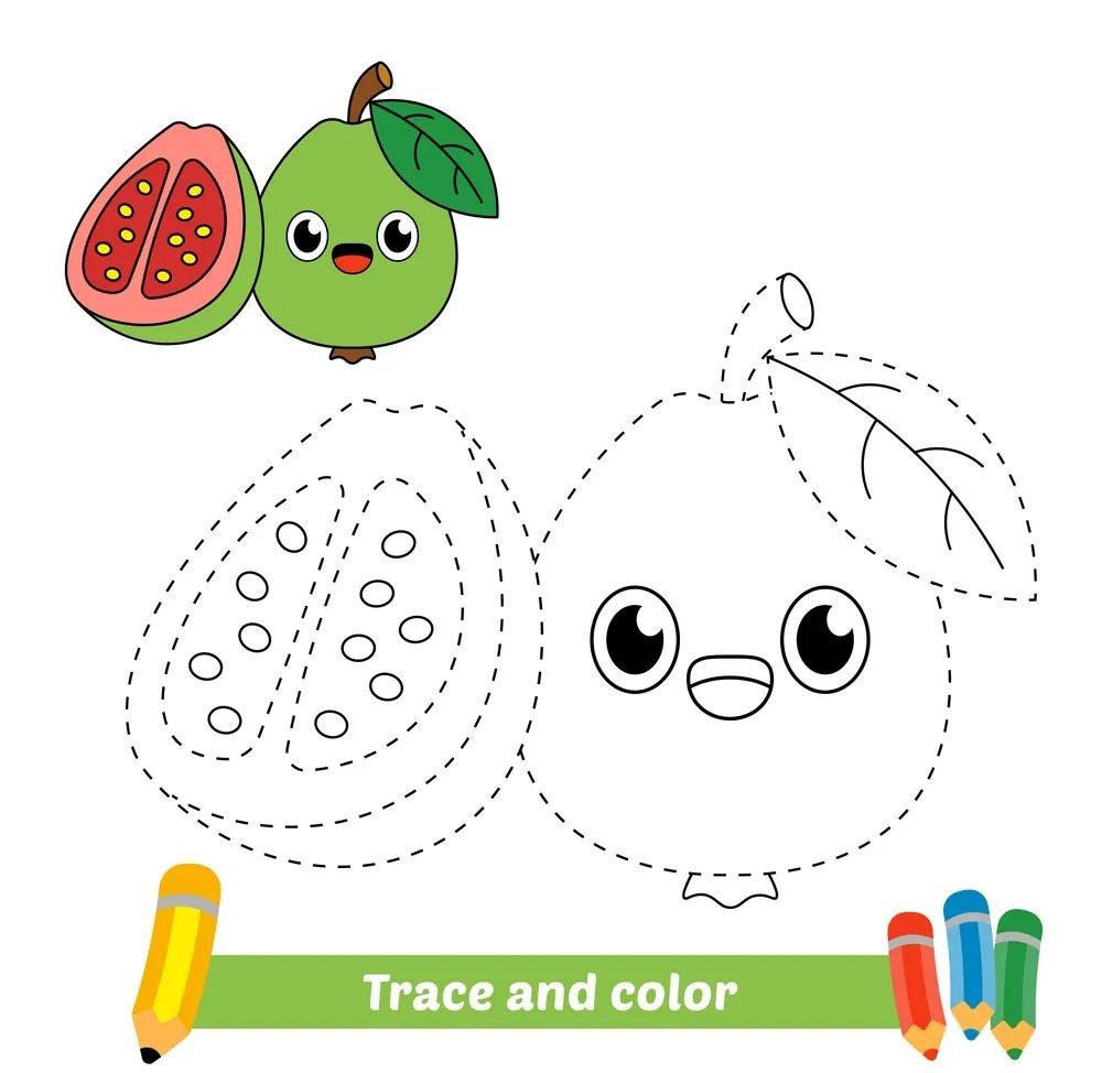 Çizgi Çalışmaları